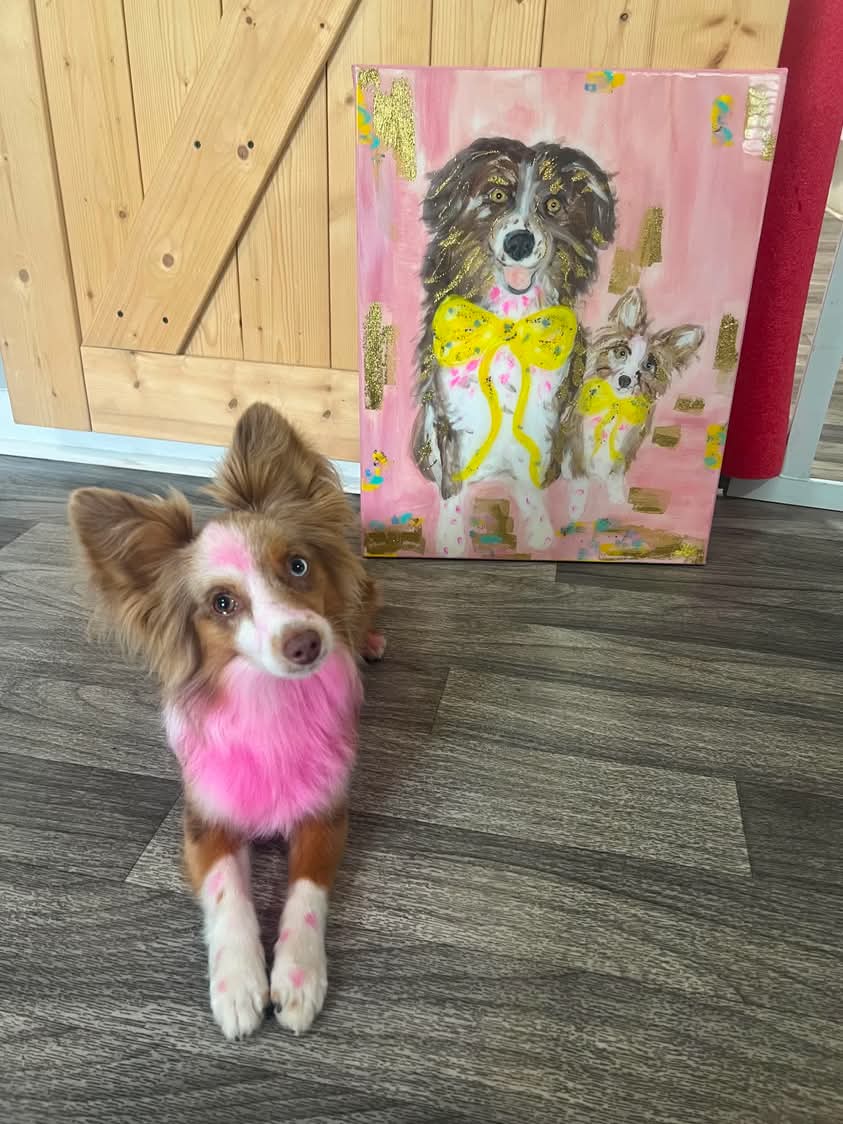 Custom Pet Canvas Painting