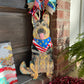 Custom Pet Canvas Painting