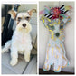 Custom Doggy Door Hanger